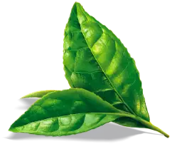 shpare_30c040d