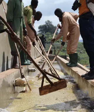 Washing station for coffee beans